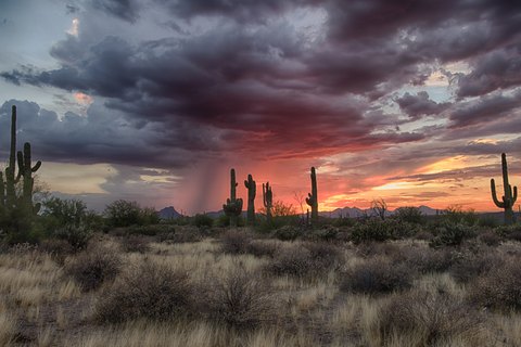 IMG 7779 HDR