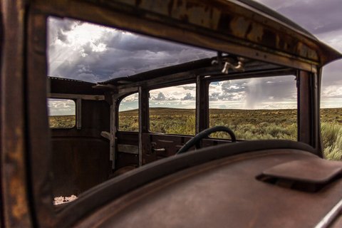 IMG 7877