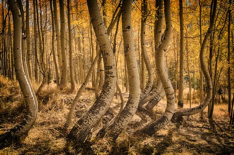 CR2A6979 HDR