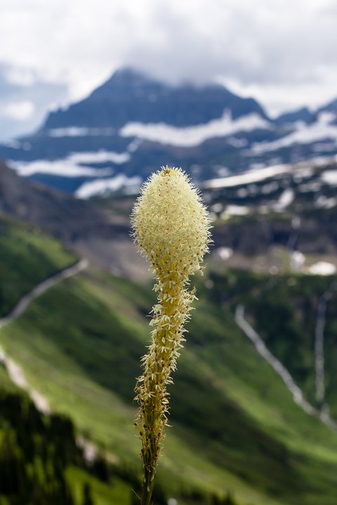 IMG 4078