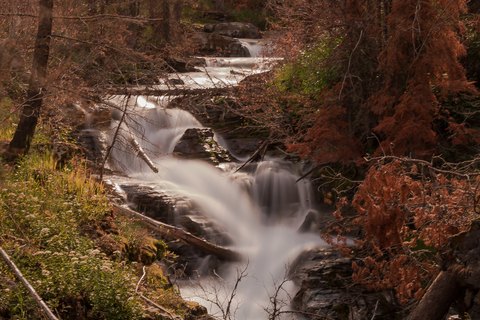 IMG 7359