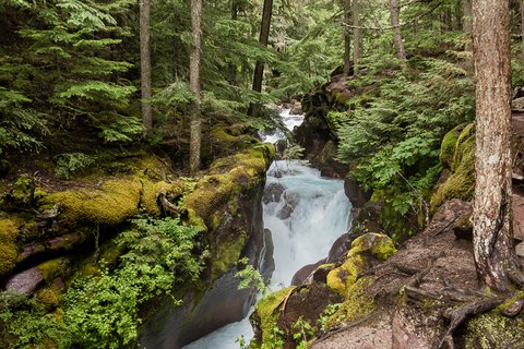 IMG 7457