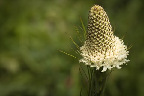 IMG 7765